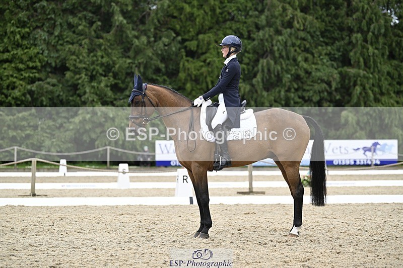 240523-144903-05103 - 442-FERNHILL_ZORO-Cassie_Sanger