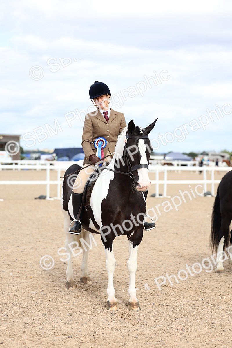 SBM_15862 - Class 314 - Family Horse - Pony