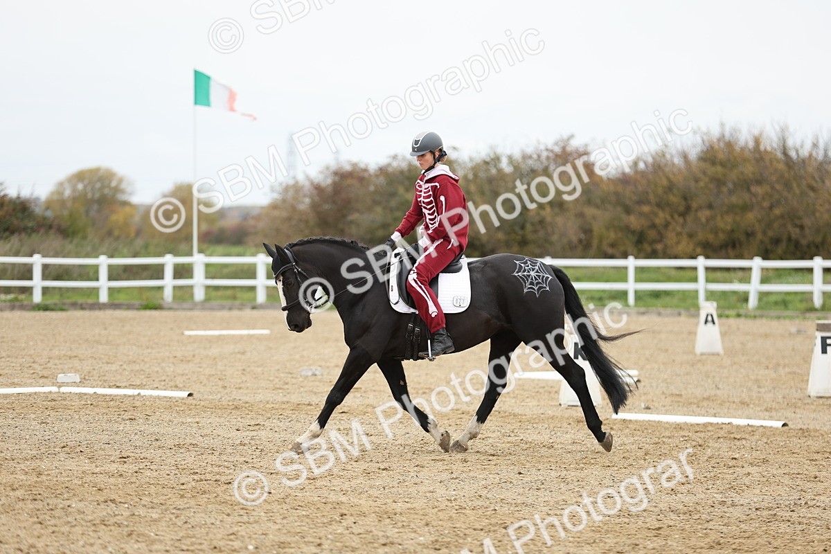 SBM_003698 - Class 9-12 - Novice 2 Elementary 3