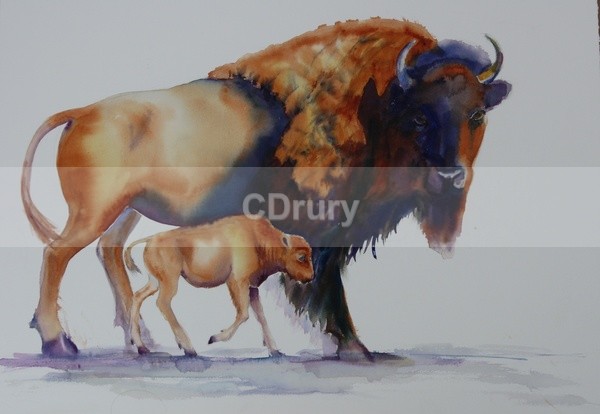 Mama Bison - Watercolor