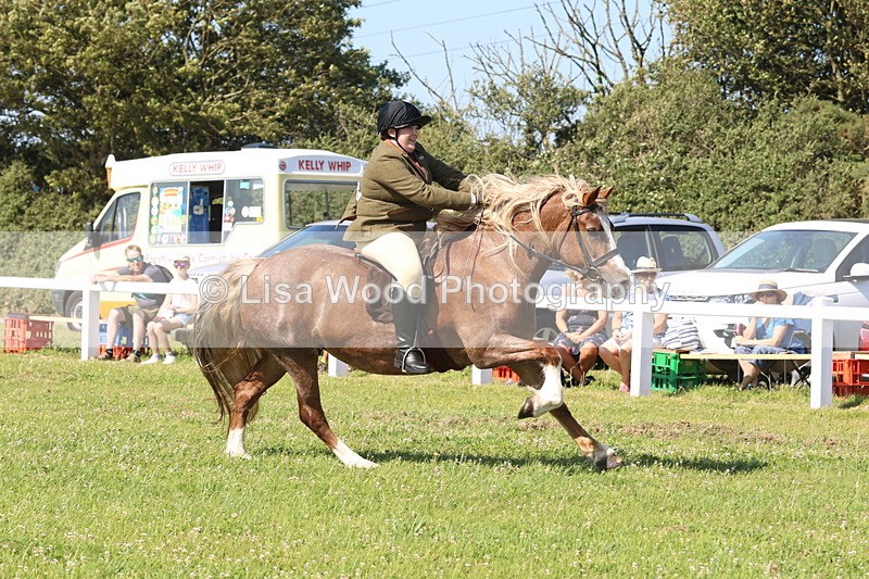 JPP_2092 - Cornish Combination Championship