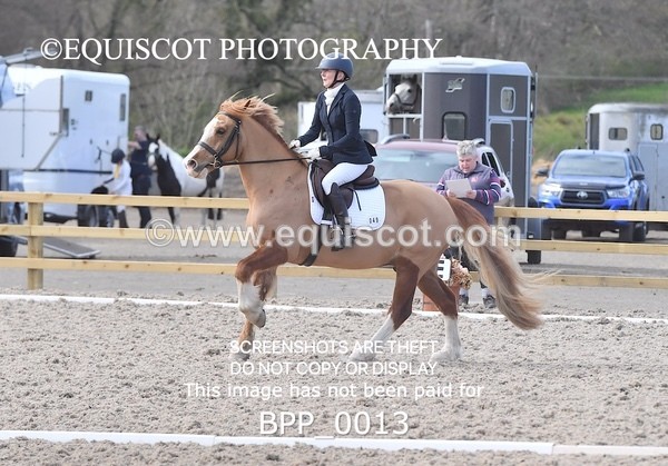 BPP_0013 - MY QUEST NOVICE 2