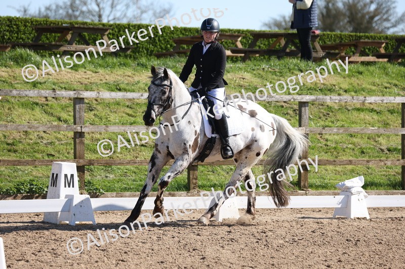 20260318-0481 - Class 5 - Novice 2