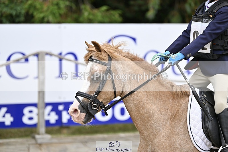 250820A-113614-03739 - Round 1, 11am to End