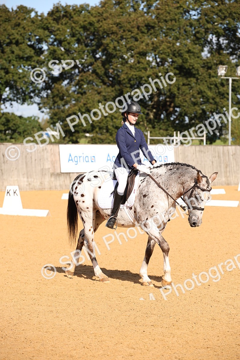 SBM_01965 - D2 Small Tour Championship Intro C