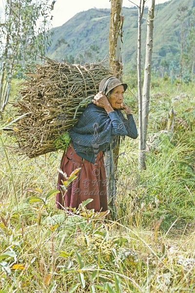 Native Woman - Equador, S.A. - PEOPLE