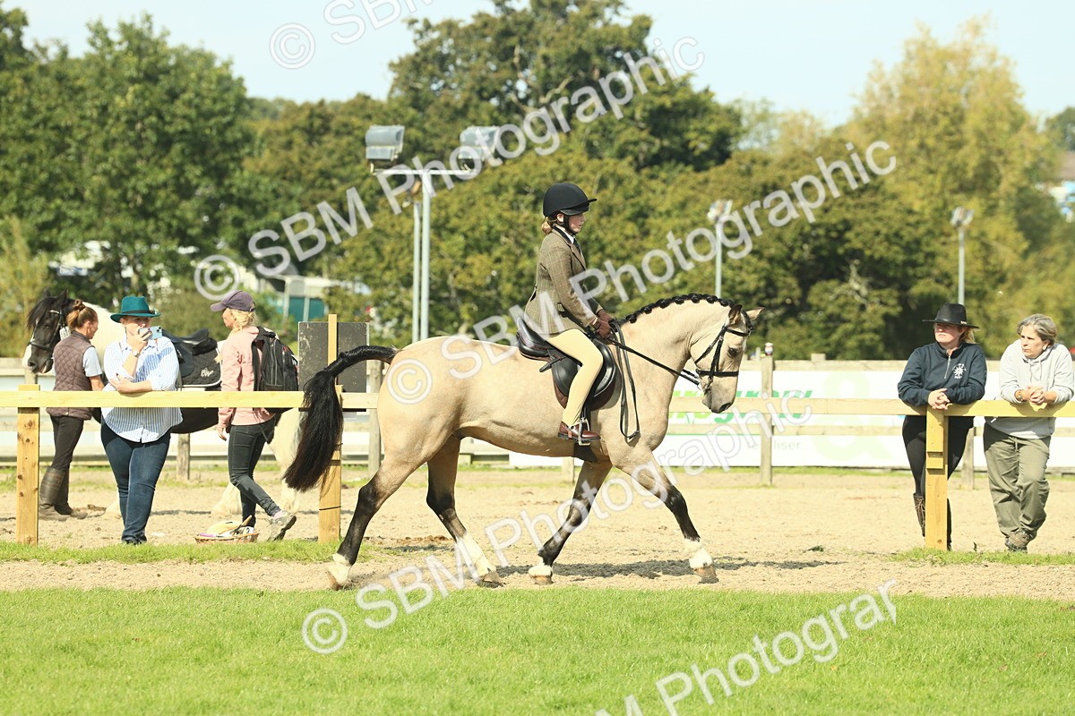 SBM_67614 - S56 - Coloured Pony Ridden