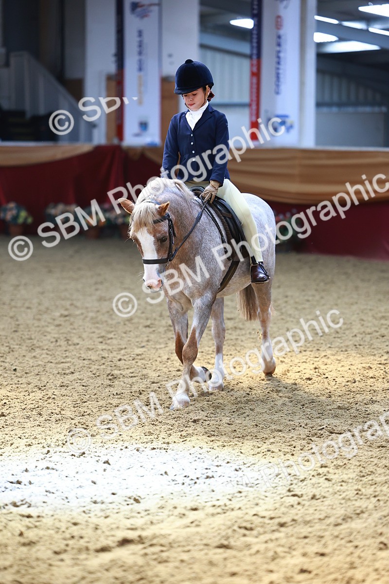 SBM_23936 - Class 905 - Supreme Final - Ridden Veteran