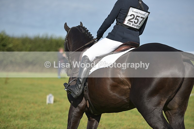 RAY_7457 - Class 2B: Trekenning Open: Dressage