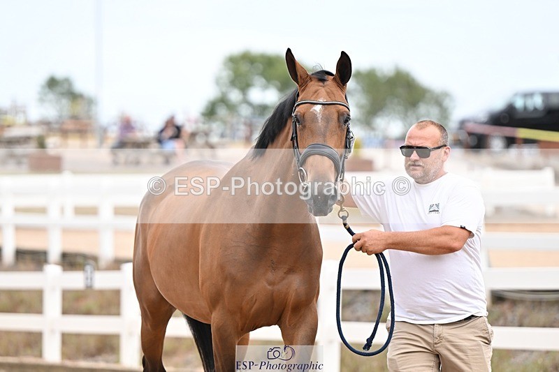 250716-155453-02276 - Trot Up 3.30 to 4.30