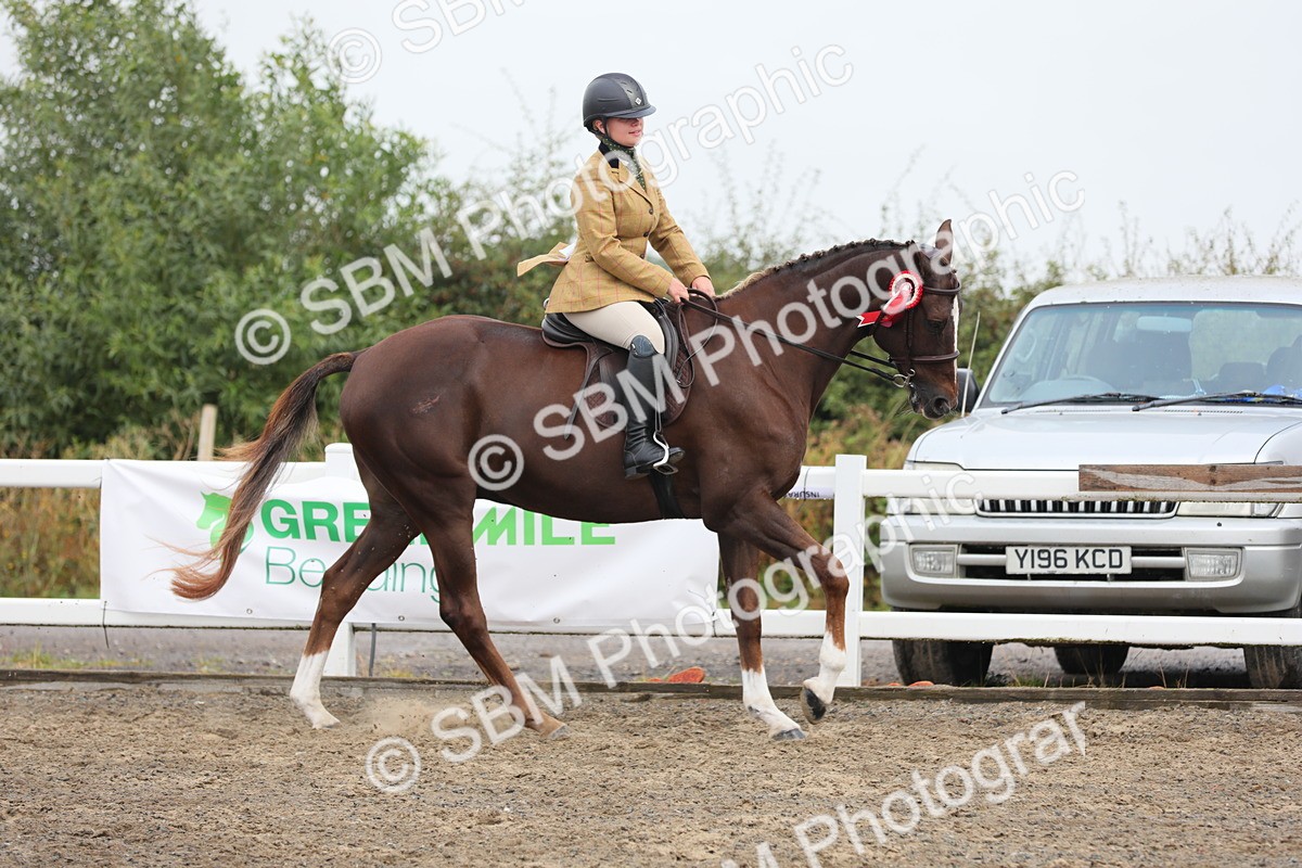 SBM_21428 - Class 805 - Ridden Veteran Horse