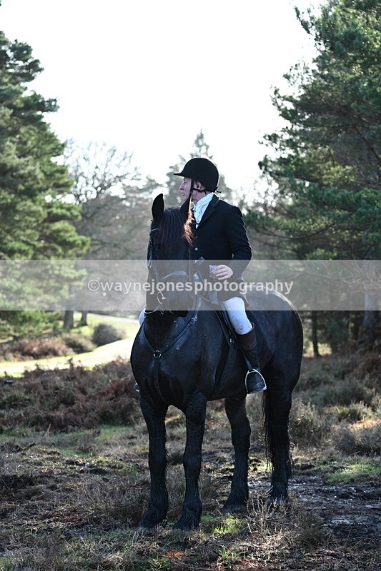 WJ7_7531 - Line 3 (no line 4 or 5)