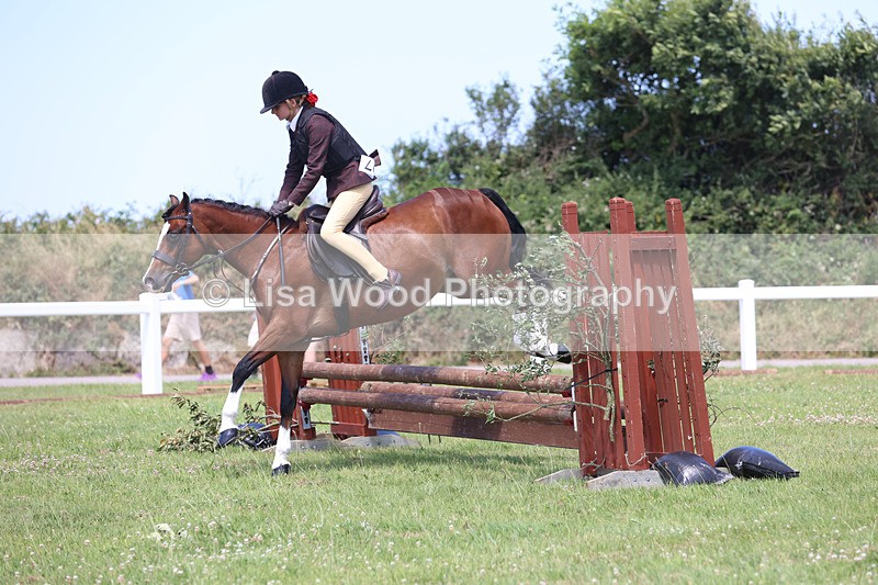JPP_2649 - Class 21: Working Hunter 60cm