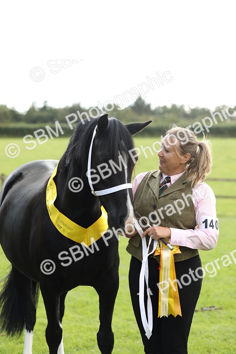 SBM_65524 - S47 - Mountain & Moorland In Hand Large Breeds