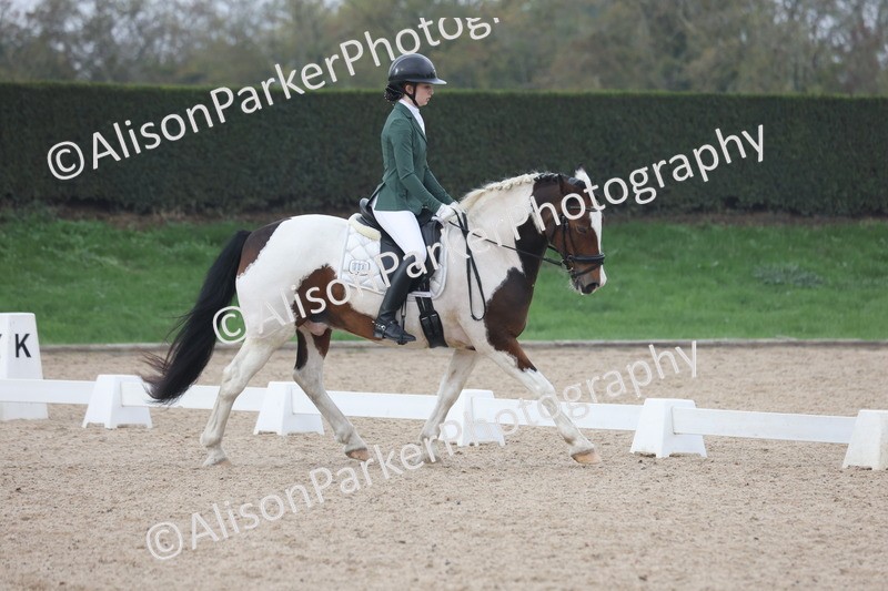 20251012-0683 - Class 6 - Elementary 6