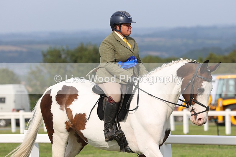 JPP_4596 - Working Hunter Championship