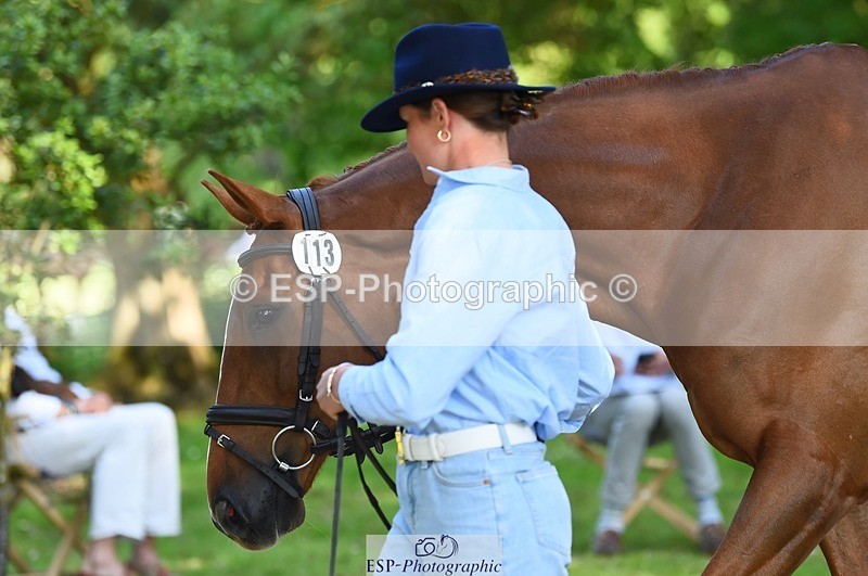 230524-164512-01069 - 113-I'M_A_WONDER-Rosie_Fry-WEDTrotUp+DR