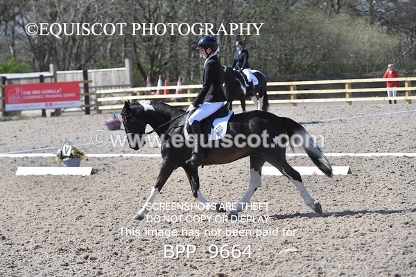 BPP_9664 - NOVICE 6