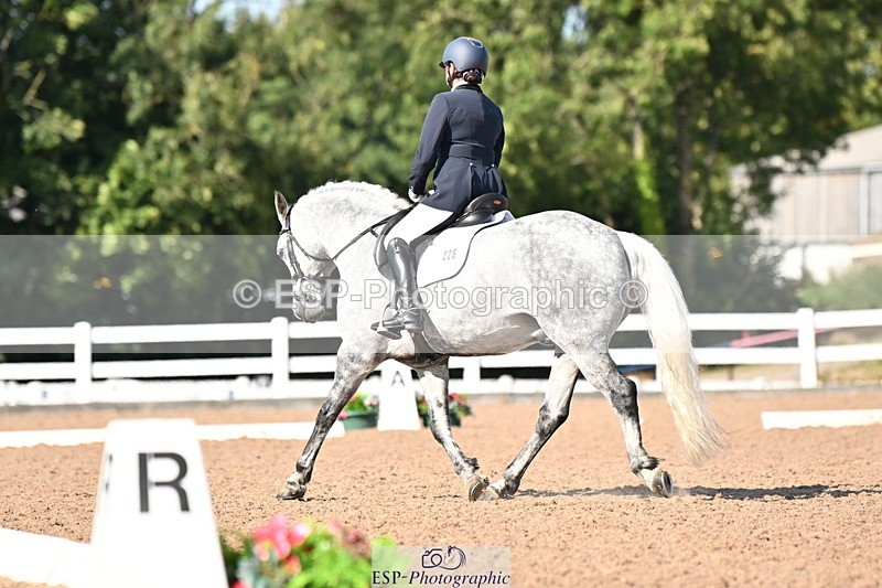 240816A-164325-06255 - 226-Sonya.Fitch-Peyton-THE.GREY.SWALLOW