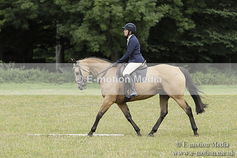 BVR160717-515 - Class 1 & 23a Dressage 16/07/17