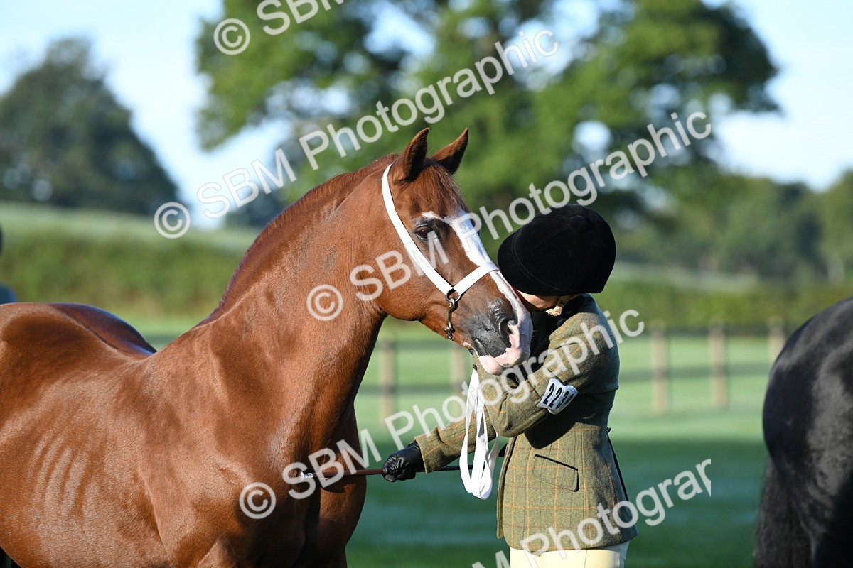 SBM_32761 - S15 - Condition & Turnout In Hand