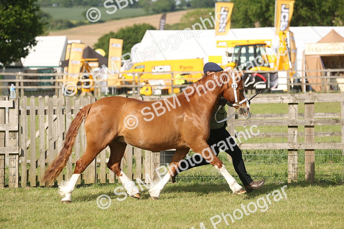 SBM_10444 - Class 33-38 - SSADL RIHS Qualifiers