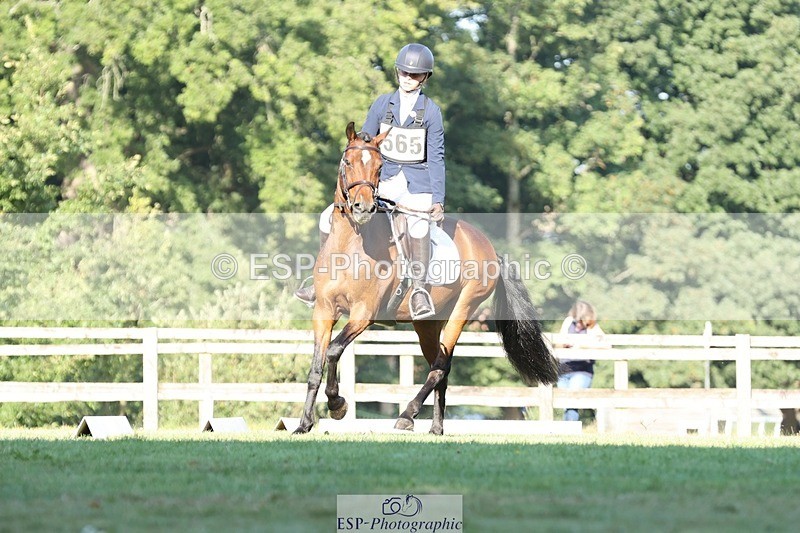 250823A-090059-25832 - Arena D