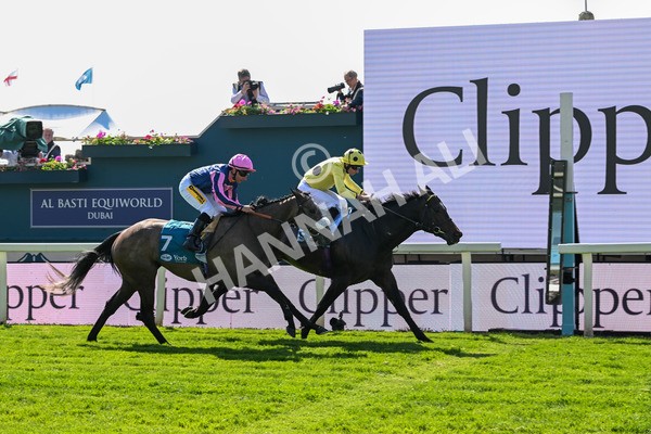 140525-Race 3-Inisherin-2137 - Race 3 3.13pm 1895 Duke Of York Clipper Stakes