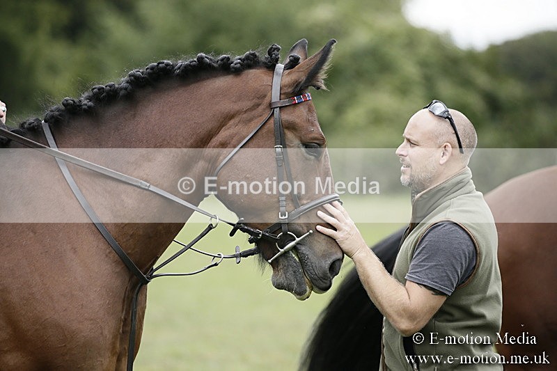 BVR080918 8 - BVRC Novice Dressage & CR 08/09/18