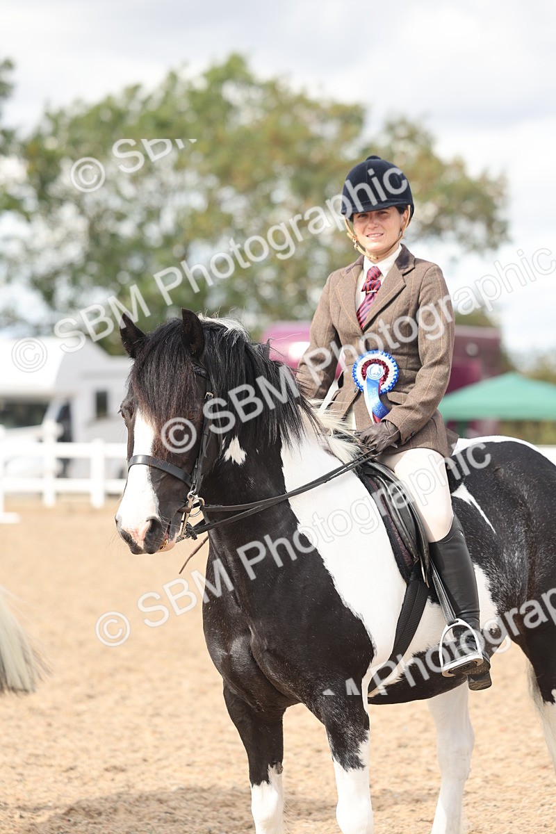 SBM_14689 - Class 307 - Ridden Coloured Pony