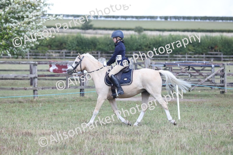 20250831-2881 - Class 18 - Childs First Pony