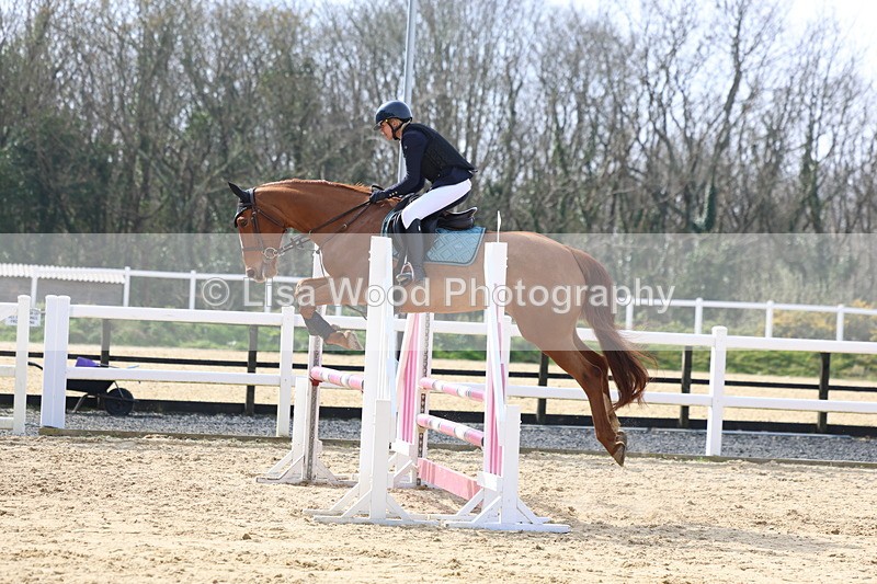 3E7A6774 - Class 4: Senior British Novice/90cm open