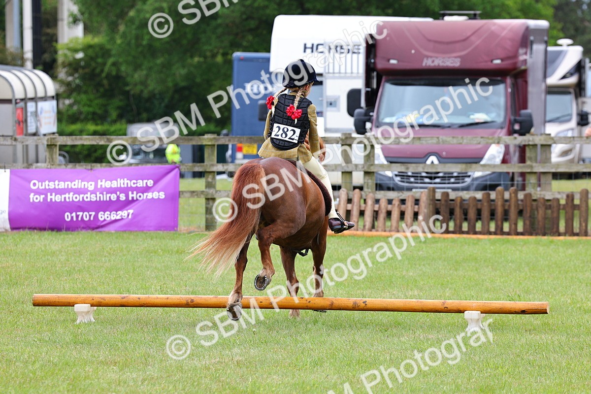 SBM_08636 - Class 42-43 - LIHS BSPS Heritage Working Sports Pony