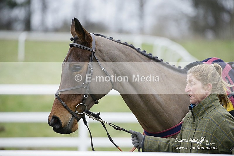 PtP 220122 395 - Royal Artillery Hunt Point-to-Point  - Larkhill Racecourse 22/01/22