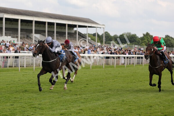 yr11062021r5-20 - Race 5 4.00pm Sky Bet Ganton Stakes