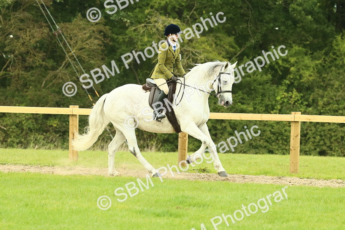 SBM_71896 - S60 - Mountain & Moorland Ridden Large Breeds