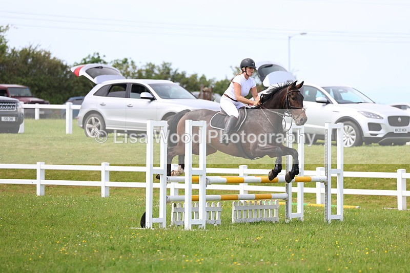 3E7A1486 - Class 13: Senior British Novice/90cm open