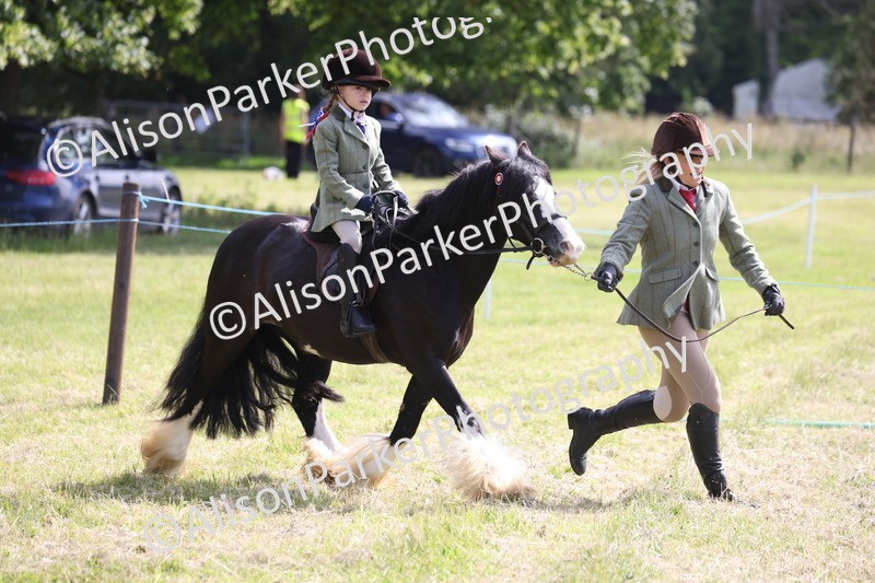 20260614-0638 - Class 20 - Beginners Working Hunter Pony