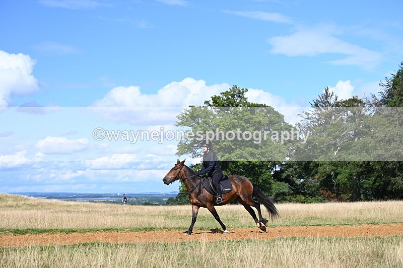 DSC_0191 - Time at Statue 15:58 to 16:05