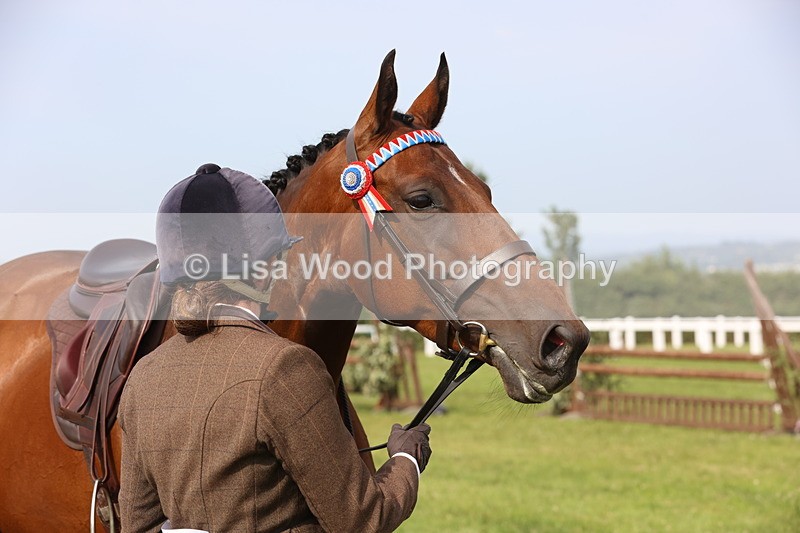 JPP_4288 - Class 25: Working Show Horse