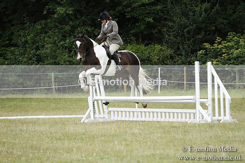 BVR160717-124 - Ring 3 BVRC Show 16/07/17