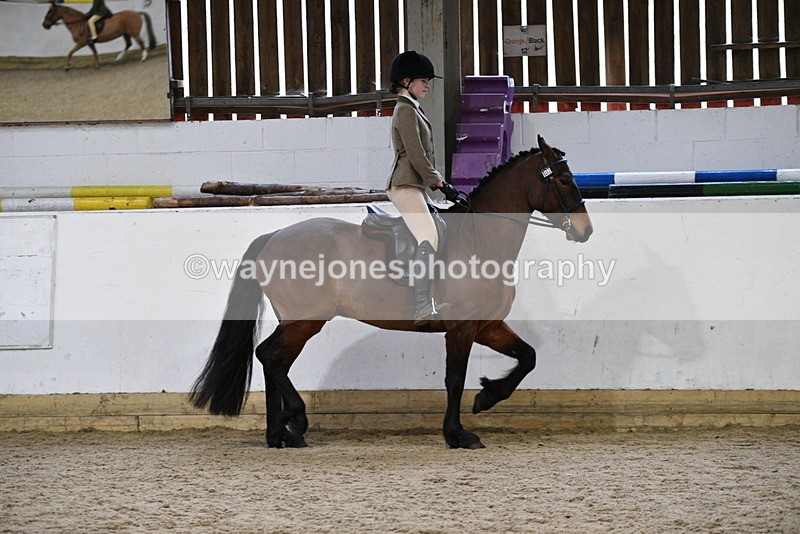 WJ5_7158 - Class 11 Ridden PC - RC Pony