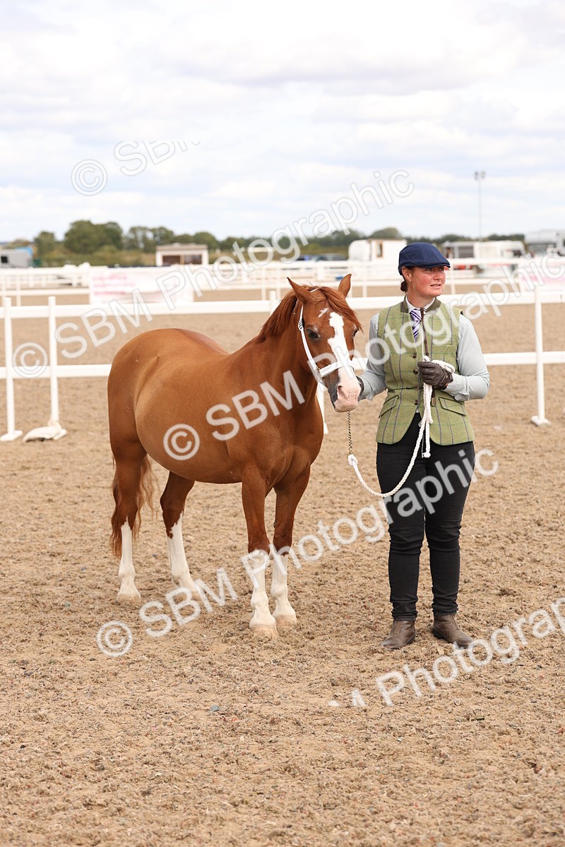 SBM_15128 - Class 209 - IH Veteran Pony
