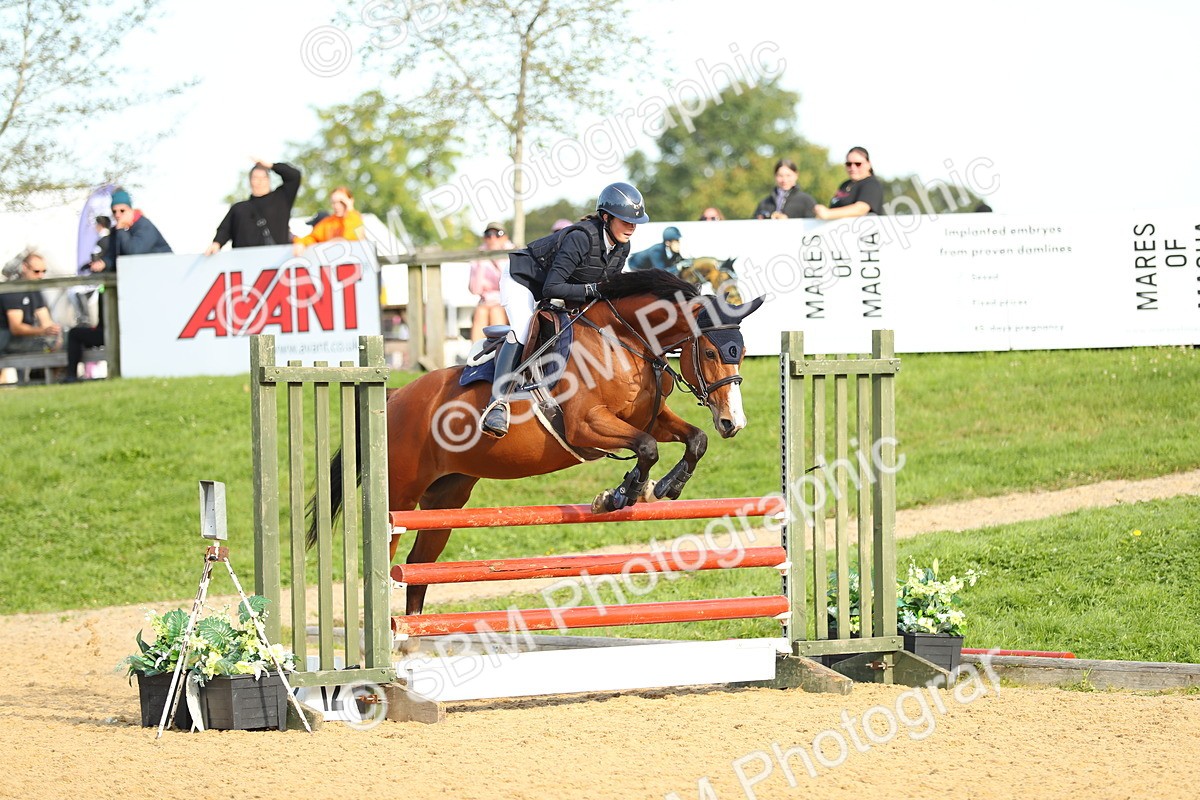 SBM_60344 - J41 - Grand Tour 95cm Championship