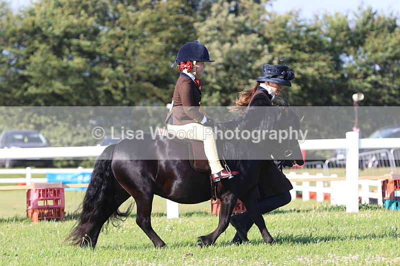 JPP_0925 - Class 16: Cornish Combination Leading Rein
