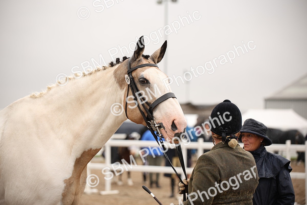SBM_20670 - Class 705 - IH  Combination 65+
