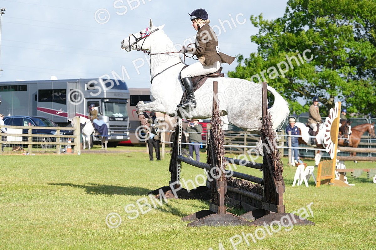 SBM_10500 - Class 97-98 - LIHS BSHA Rising Star Working Show Horse Hunter