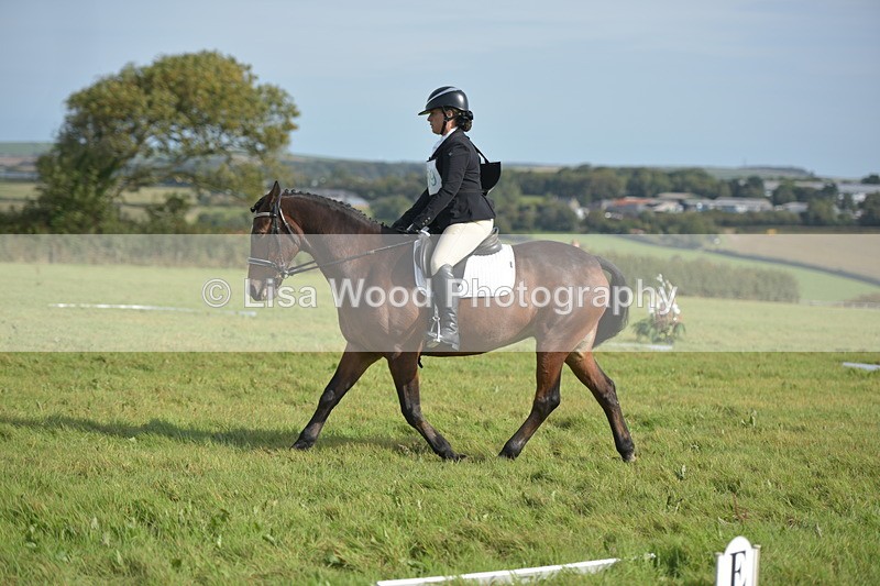 RAY_7726 - Class 2B: Trekenning Open: Dressage