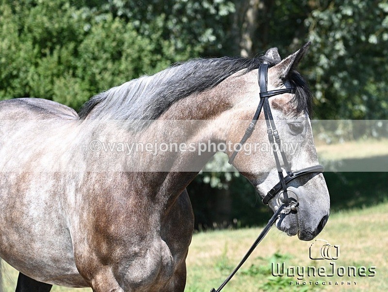 WJ7_4639 - Annable & Atlas 13-07-25