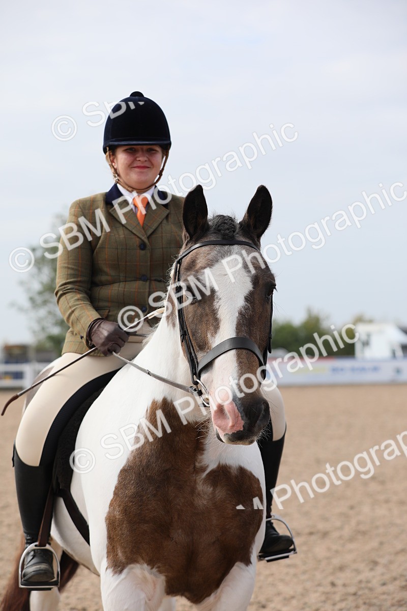 SBM_17028 - Class 314 Family Horse/Pony